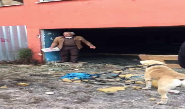 Şile'de eski otelin havuzu sokak hayvanlarına ölüm tuzağı oldu - Genel -  Türkiye'nin İnternet Gazetesi